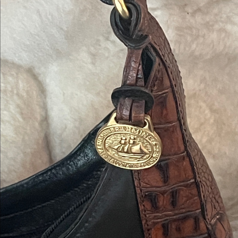 Brahmin